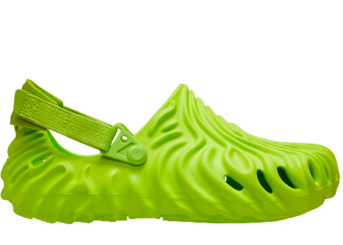 sea urchin crocs