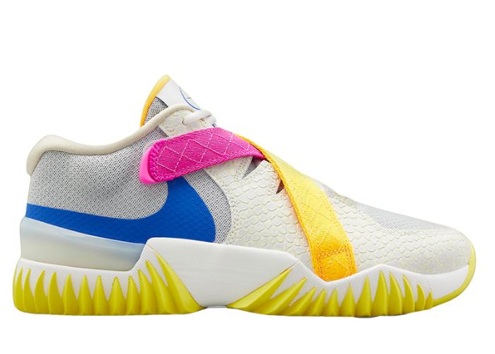 Nike Zoom Court Dragon Multi-Color