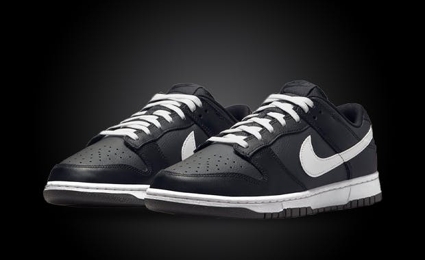 This Nike Dunk Low Comes In Reverse Panda