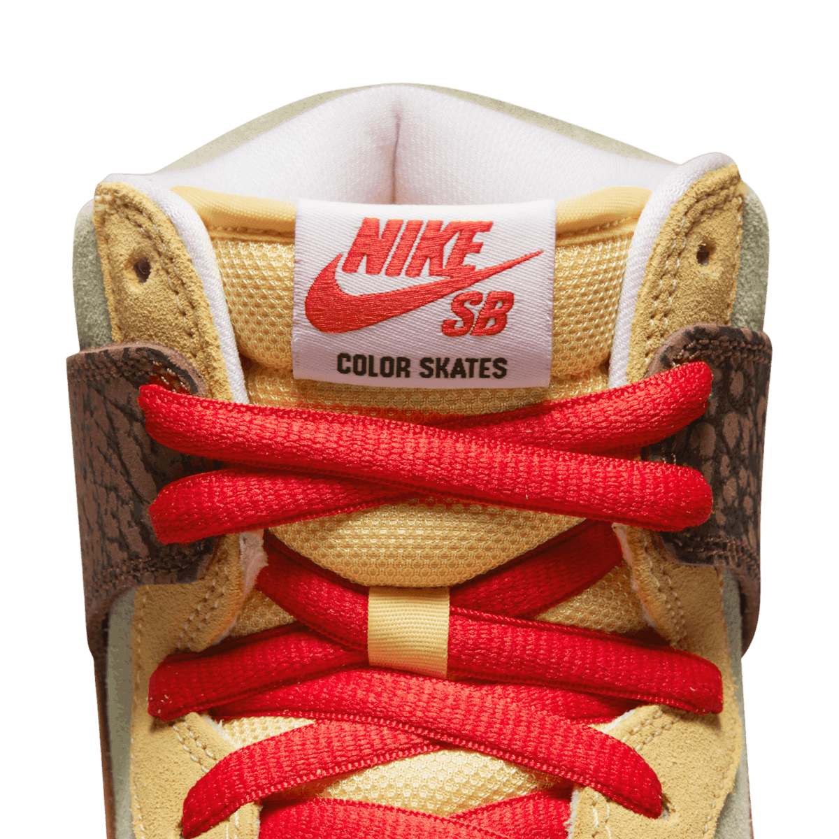 Nike Color Skates SB Dunk High Kebab And Destroy Angle 6