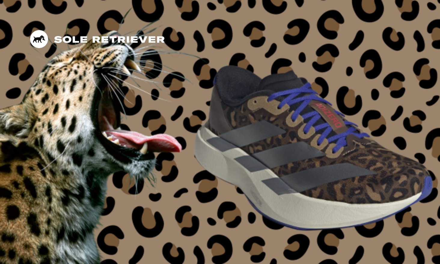 The adidas Adizero Evo SL Leopard Print Releases September 2025 The adidas Adizero Evo SL Leopard Print Releases September 2025