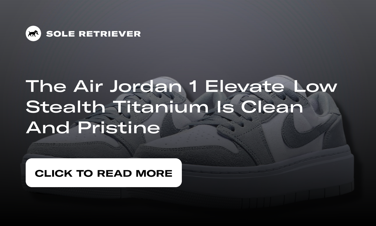 Air Jordan 1 Elevate Low Stealth Titanium (Women's) DH7004-005