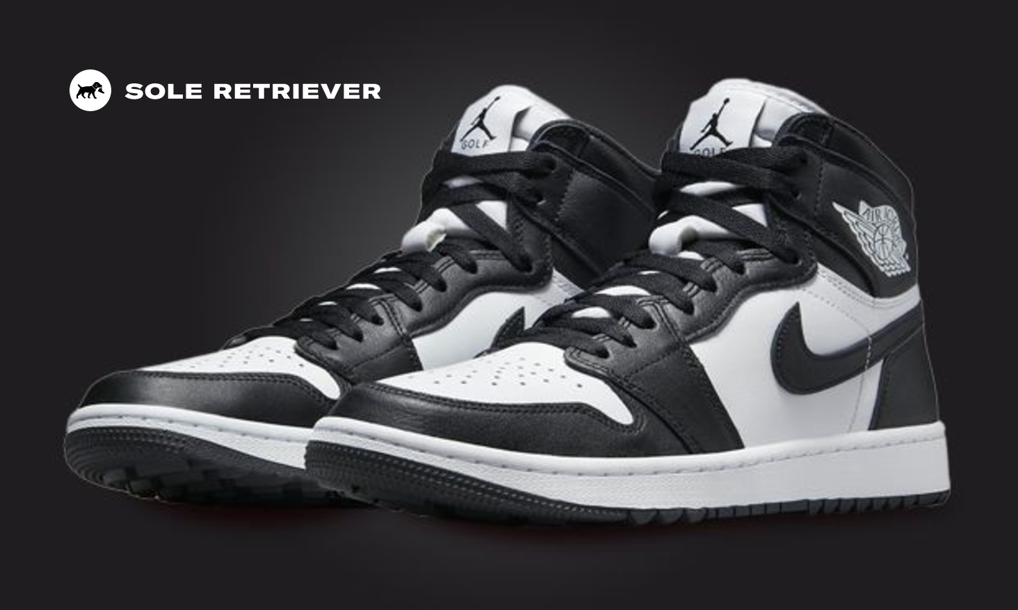 たまちゃん専用まとめ　NIKE AIR JORDAN GOLF　ナイキ org.jpg