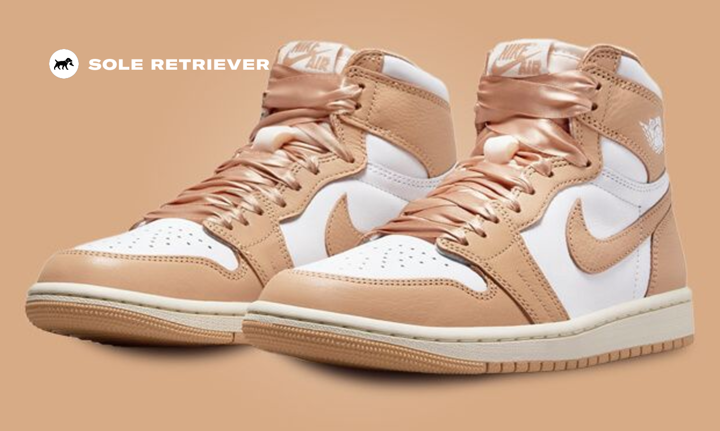 The Air Jordan 1 High Luxury Handbag Praline (W) Releases