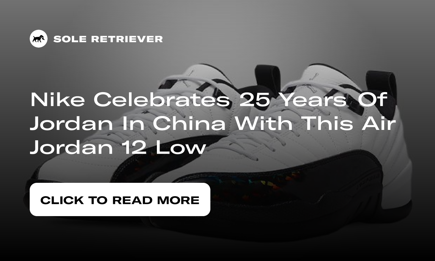 Jordan Mens Air Jordan 12 Low DO8726 100 25 Years in China - Size 12  White/Black