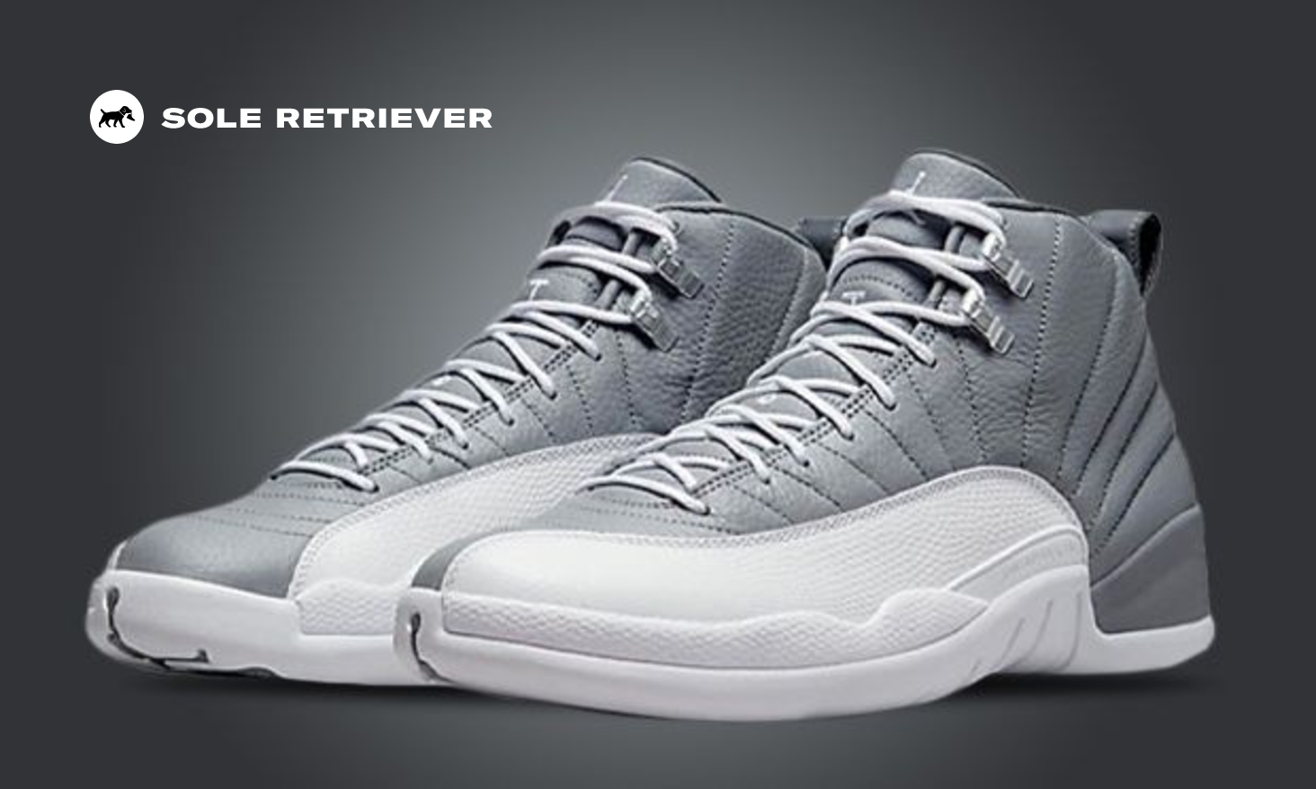 Air Jordan 12 Retro TD Stealth