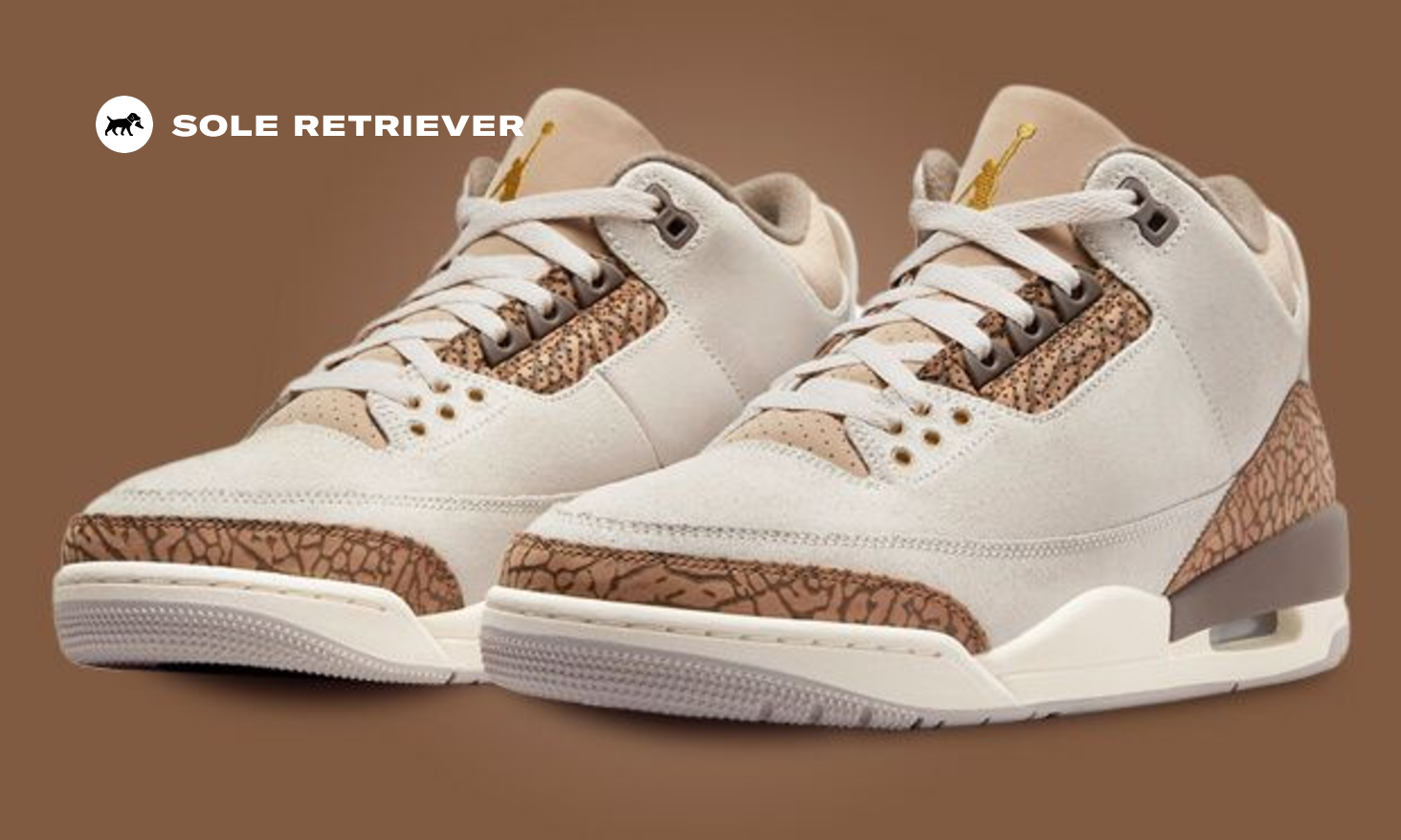 The Air Jordan 3 Light Orewood Brown Releases July 29