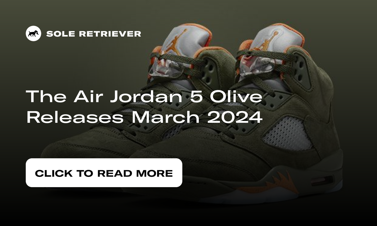 Air Jordan 5 Olive DD0587-308