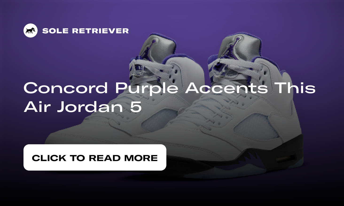 Concord Purple Accents This Air Jordan 5
