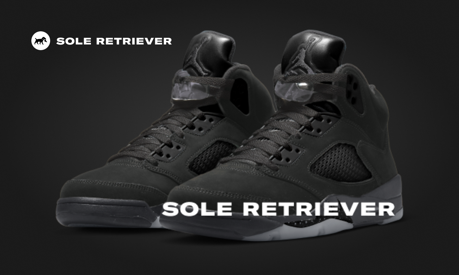 The Air Jordan 5 SE Anthracite Has Been Canceled