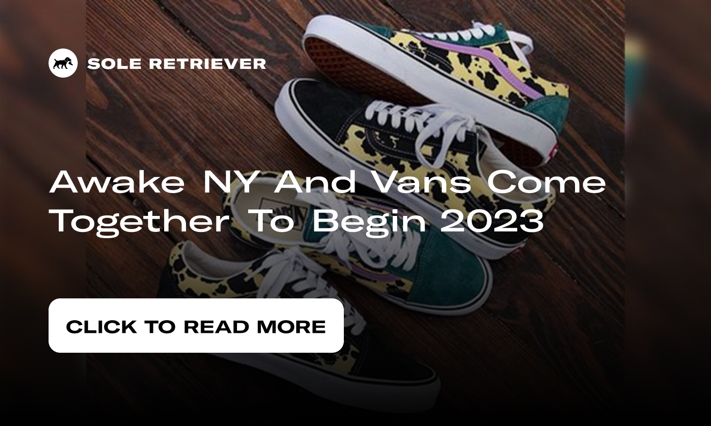 Awake NY / Vans 2023