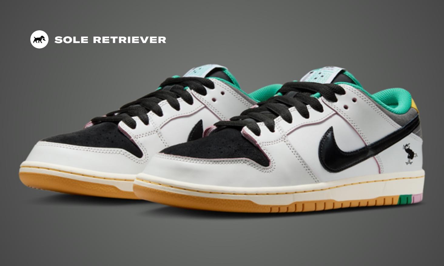The College Skateboarding Educational Foundation x Nike SB