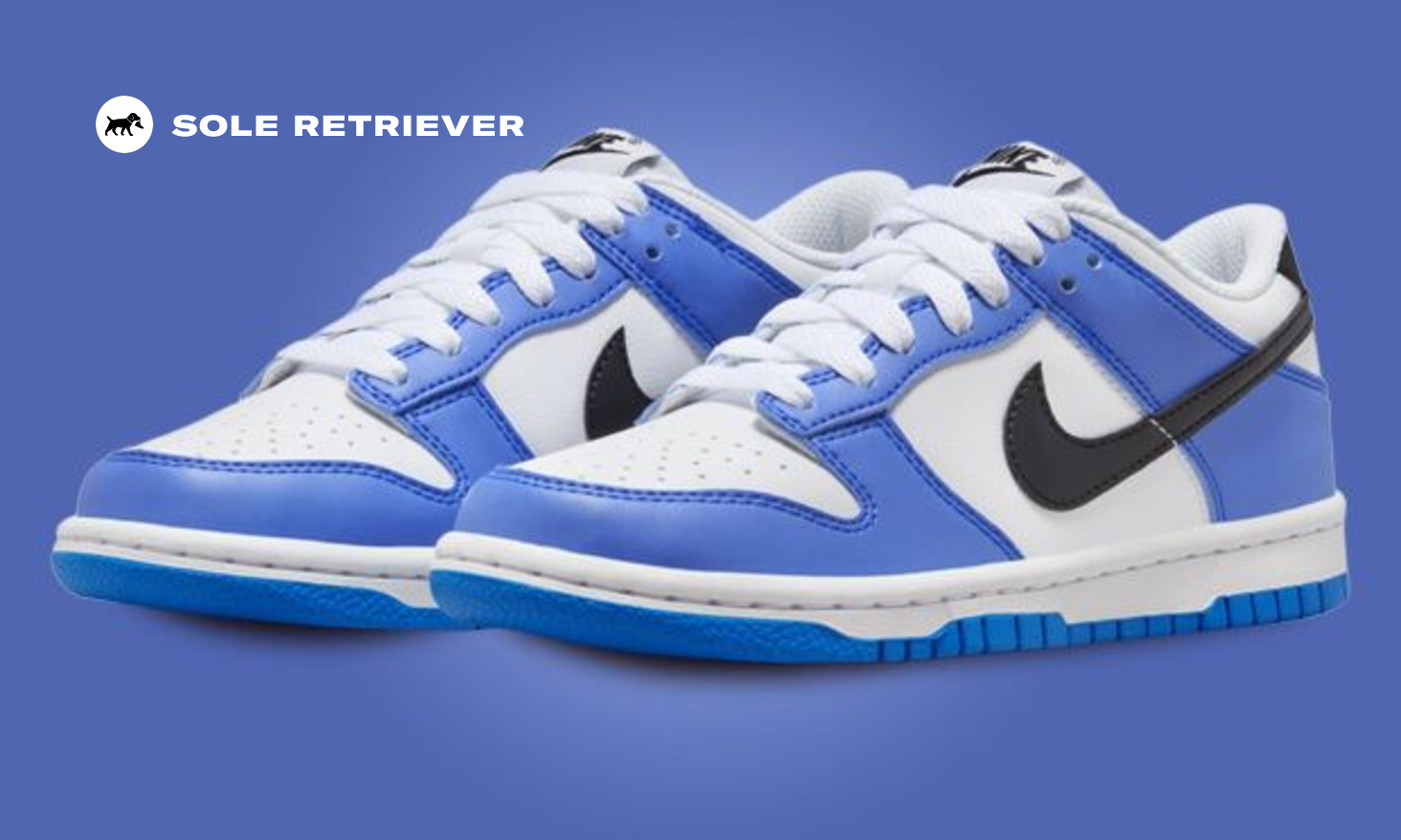 nike-dunk-low-photo-blue-black