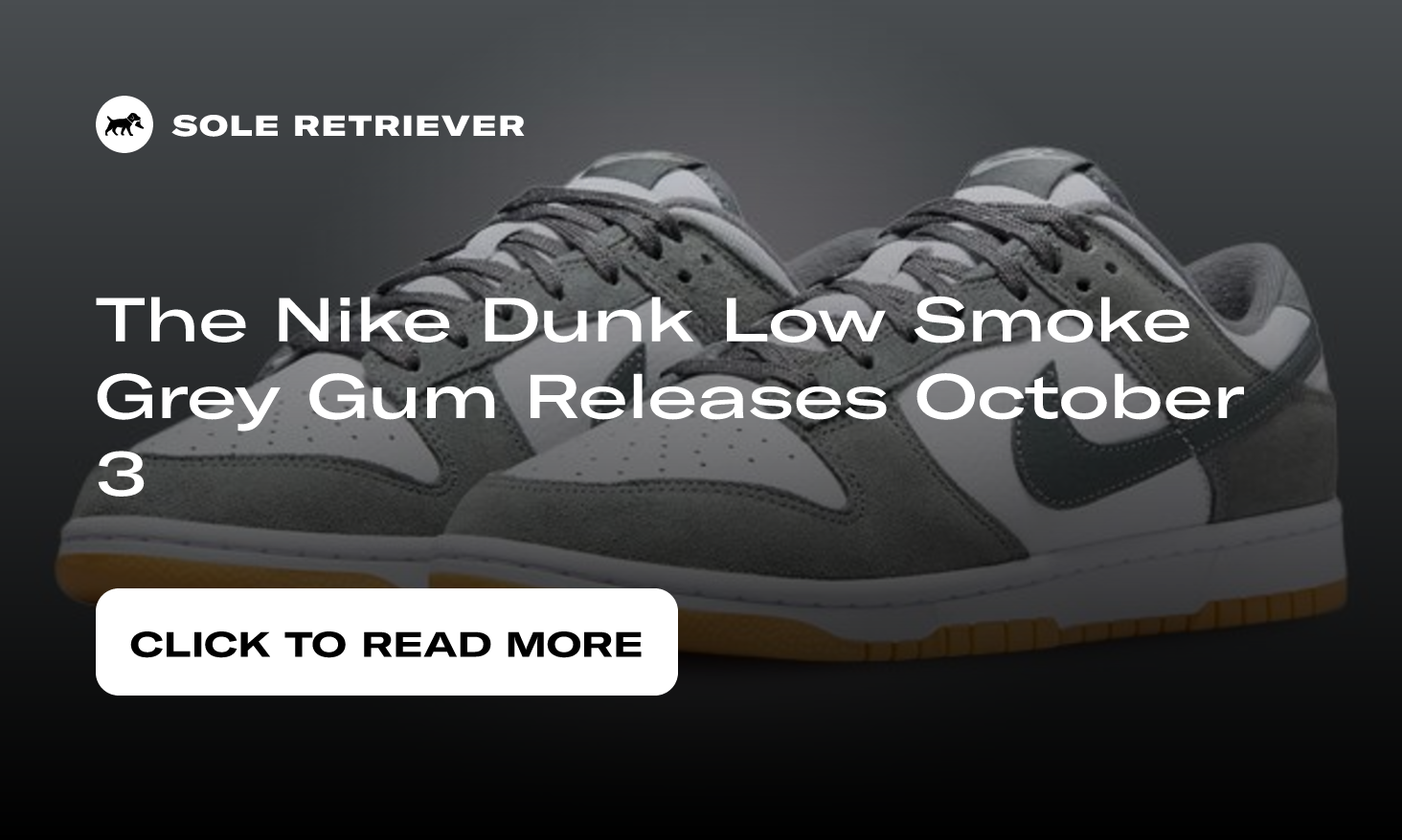 Buy Dunk Low 'Smoke Grey Gum' - FV0389 100
