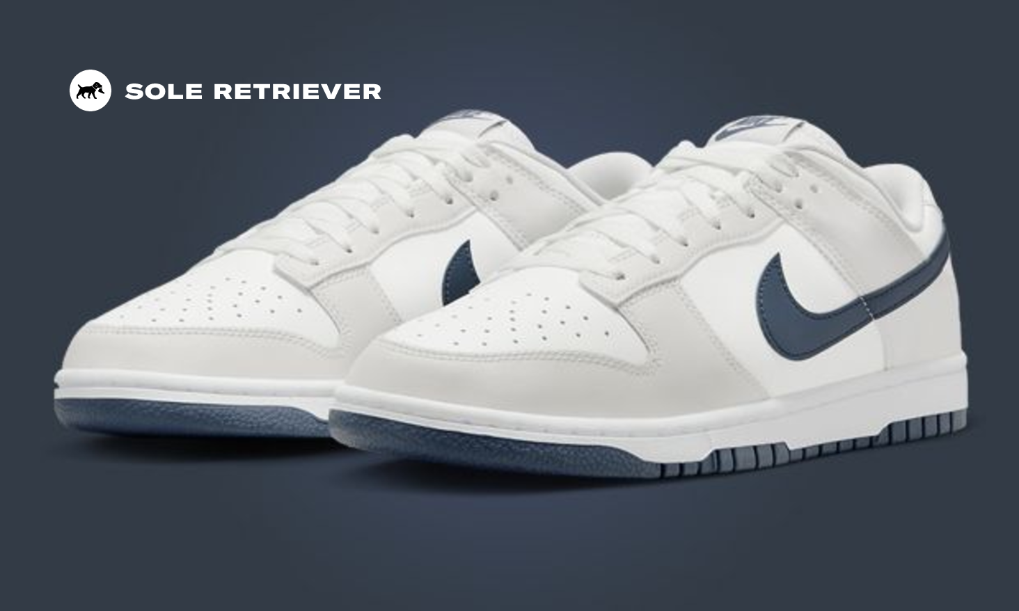 The Nike Dunk Low 