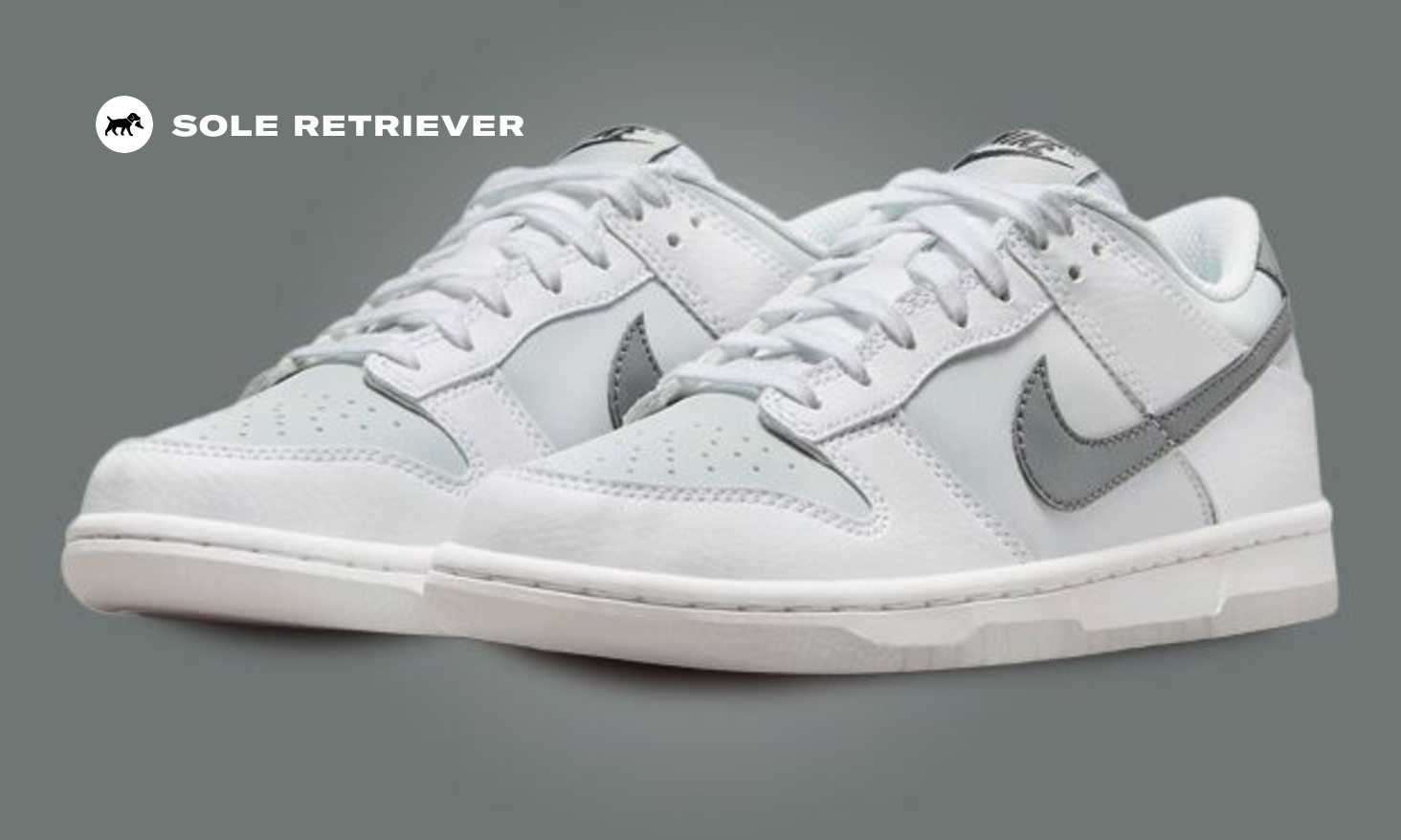 Nike Dunk Low GS Reflective Swoosh FV0365-100