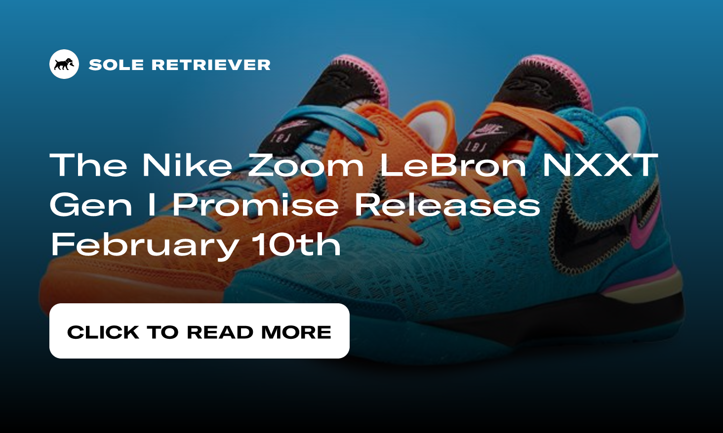 Nike LeBron nxxt gen i promise
