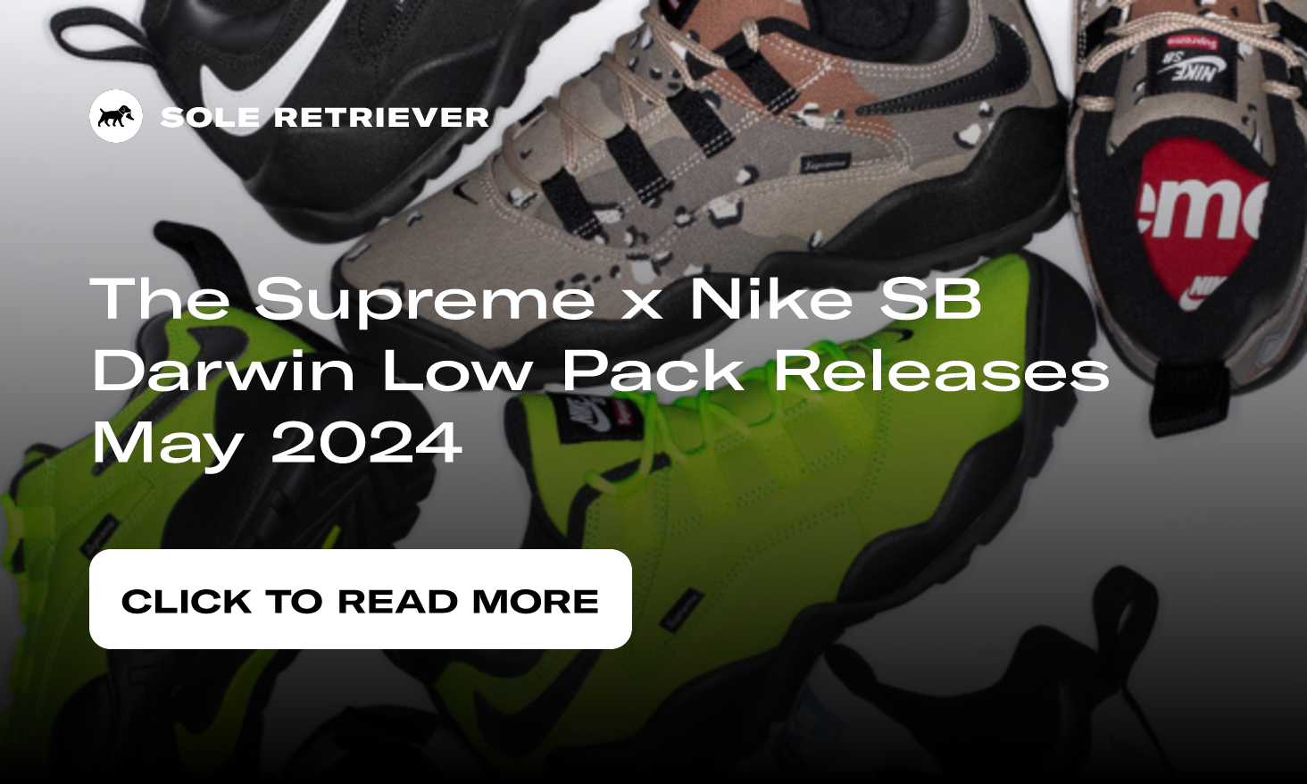 Supreme Nike SB Air Darwin Low Camo Release Info