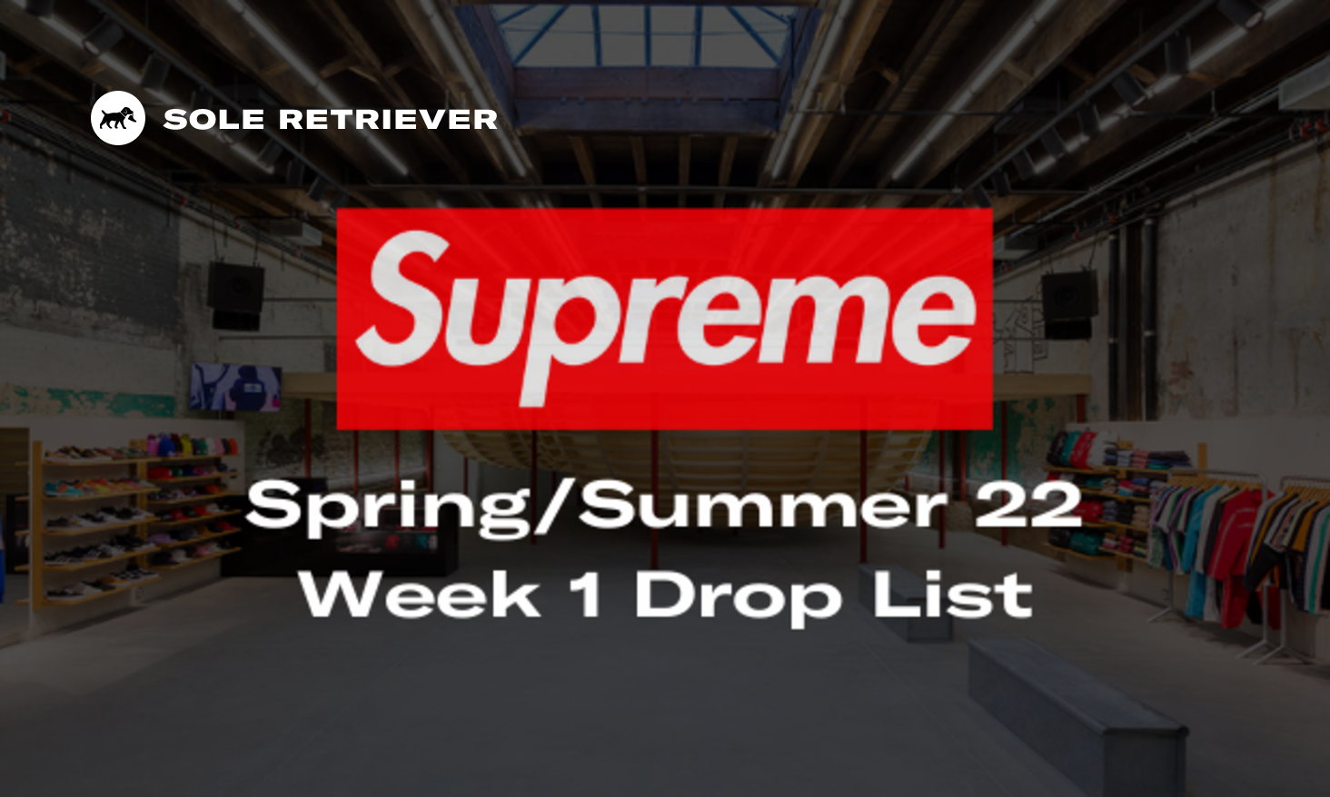 Supreme Drops on X: Supreme Skateboard Decks and Bags - Spring/Summer 2022   / X